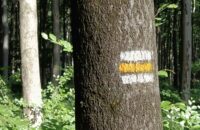 Xiaomi Redmi Note 14 - krajina