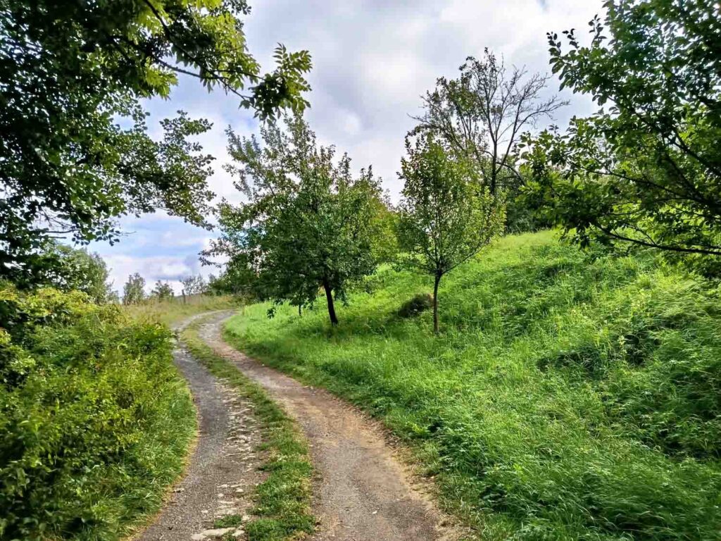 Xiaomi Redmi Note 14 - krajina