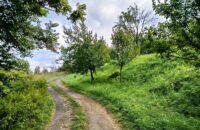 Xiaomi Redmi Note 14 - krajina