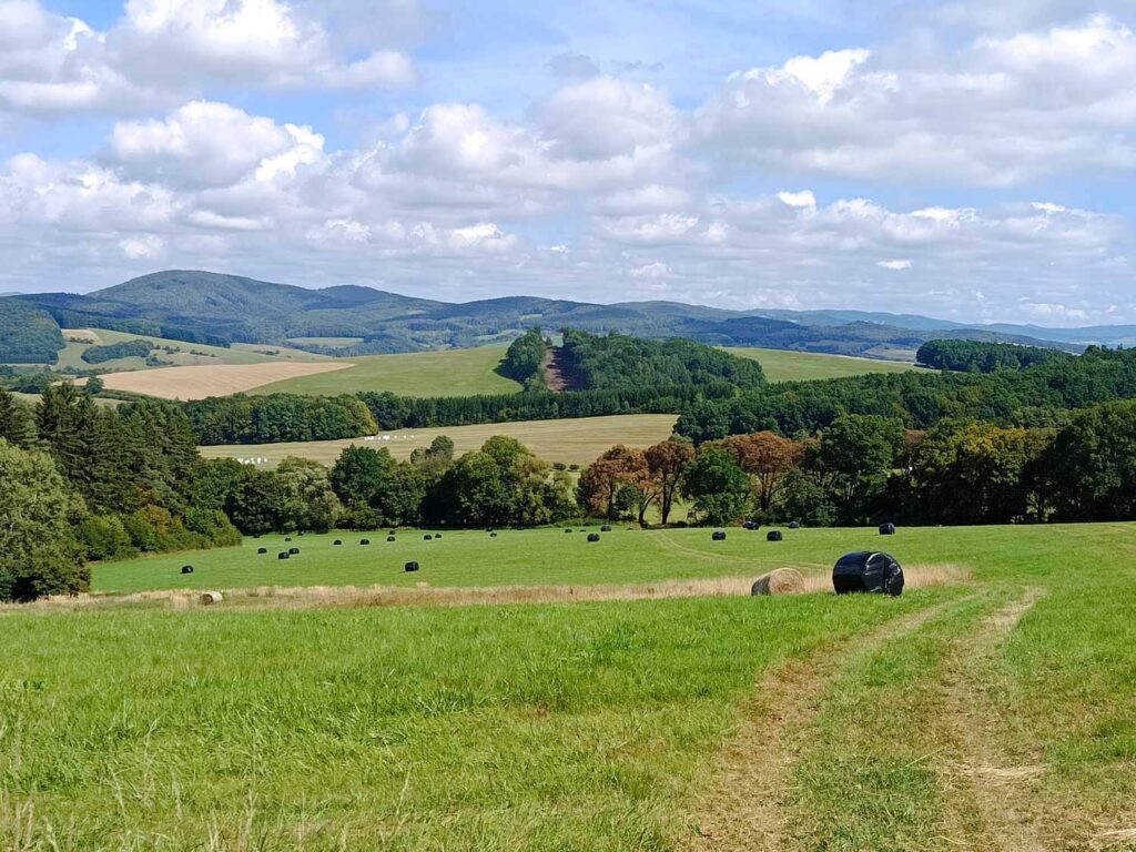 Xiaomi Redmi Note 14 - krajina