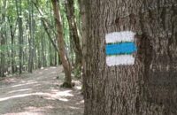 Xiaomi Redmi Note 14 - značka