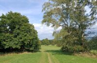 Xiaomi Redmi Note 14 - krajina