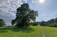 Xiaomi Redmi Note 14 - krajina